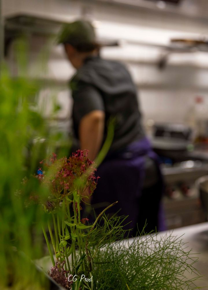 Gastronomy - Cuisine of the restaurant La Roue in Cabrerets